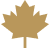 topbar-feature-icon